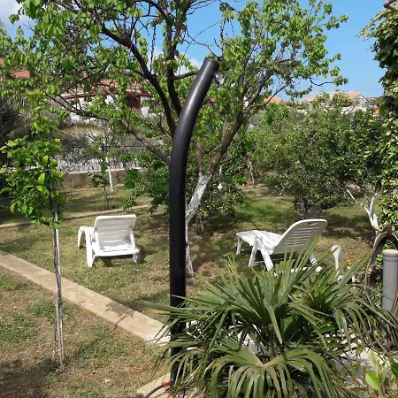 In - Riviera 17889 * Ζαντάρ