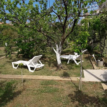 In Zadar/zadar Riviera 17889